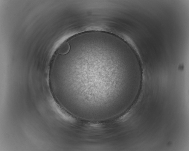 X0000112411035200908211117