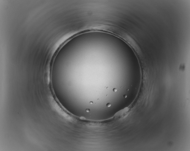 X0000112411036200908211117