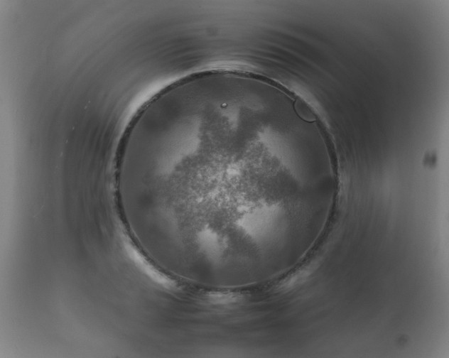 X0000112411037200908211117