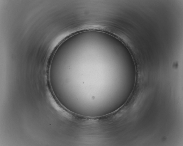 X0000112411038200908211117