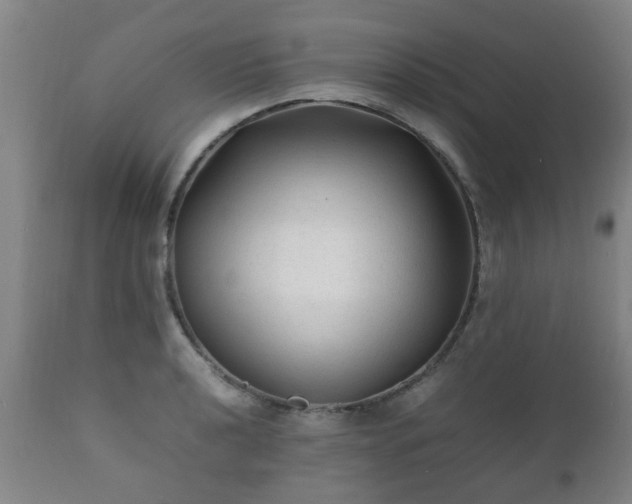 X0000112411040200908211117