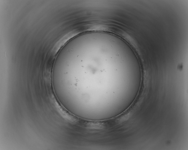 X0000112411041200908211117