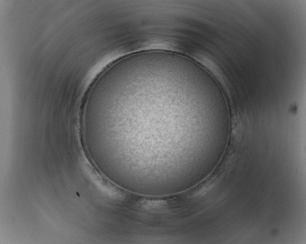 X0000112411043200908211117