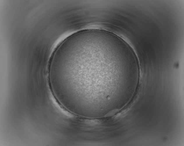 X0000112411045200908211117