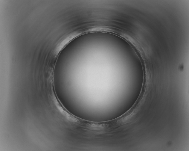 X0000112411049200908211118