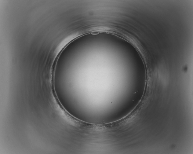 X0000112411050200908211118
