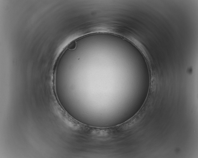 X0000112411051200908211118