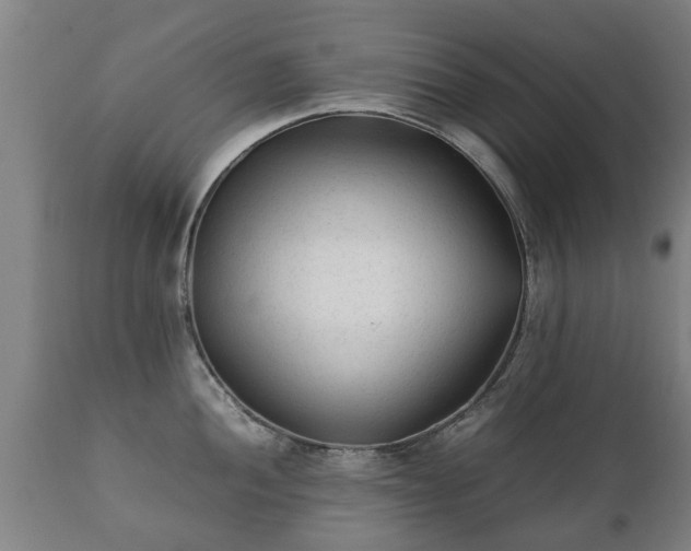 X0000112411052200908211118
