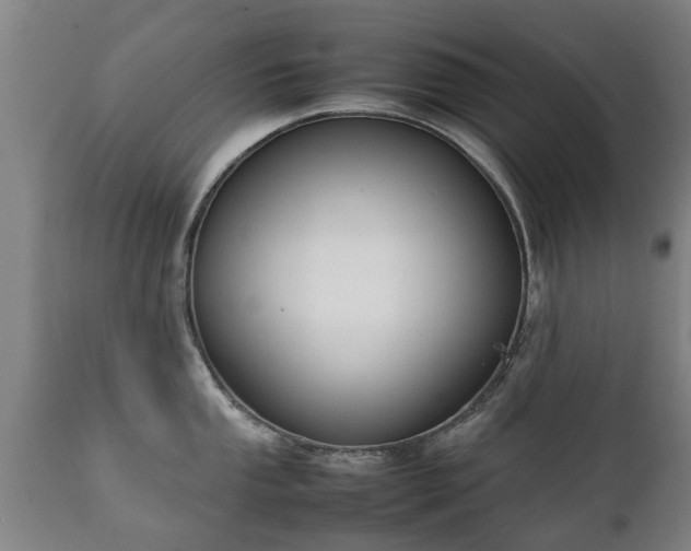 X0000112411053200908211118