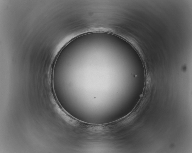 X0000112411054200908211118