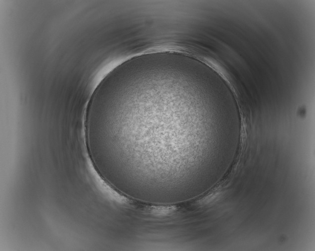 X0000112411055200908211118