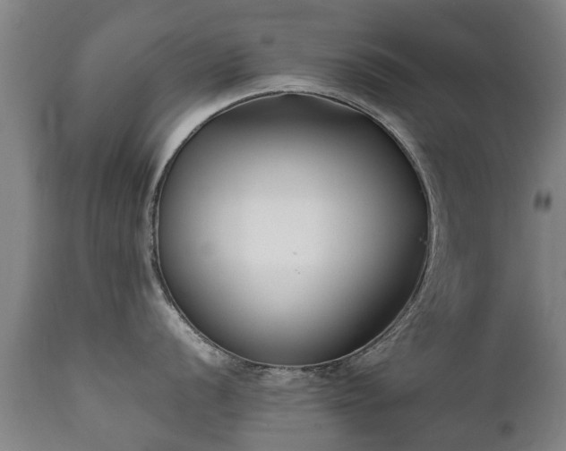 X0000112411056200908211118
