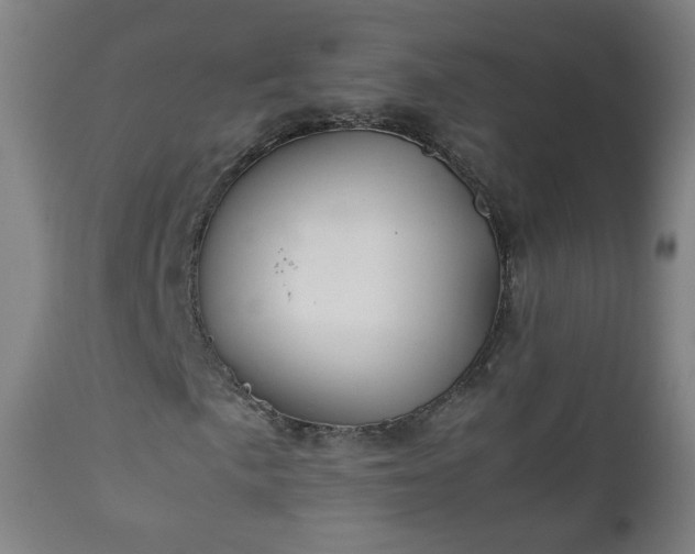 X0000112411057200908211117