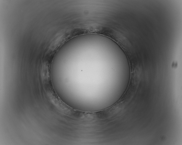 X0000112411058200908211117