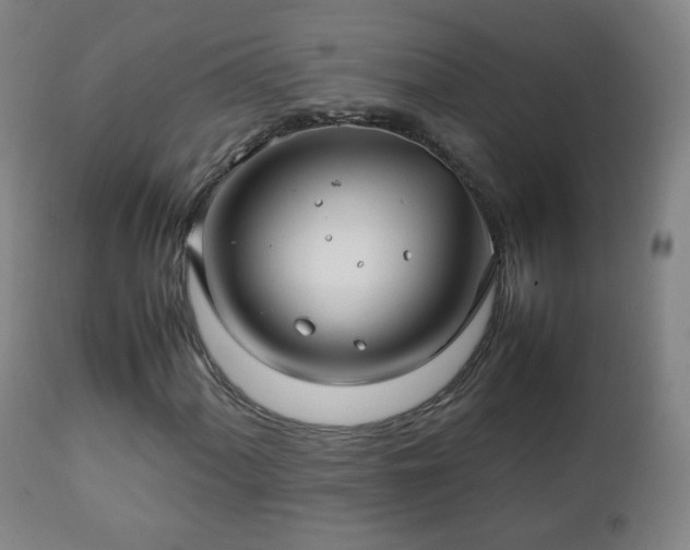 X0000112411060200908211117
