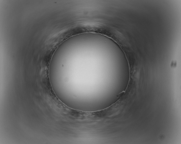 X0000112411061200908211117