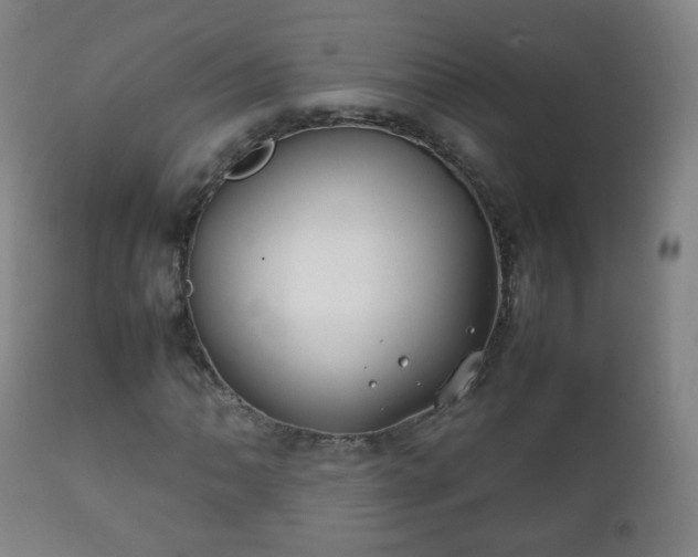 X0000112411062200908211117