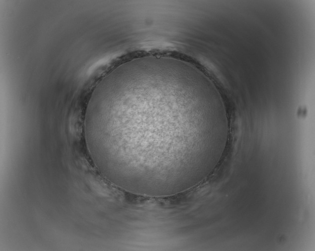 X0000112411063200908211117
