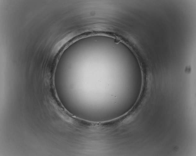 X0000112411065200908211117