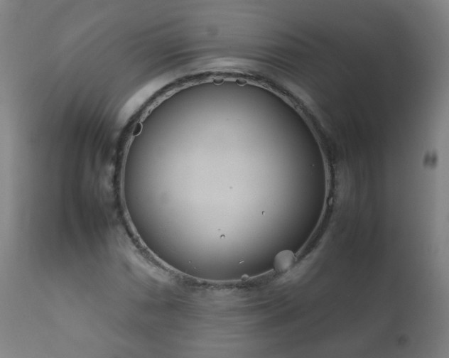 X0000112411066200908211117