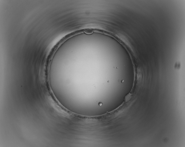X0000112411068200908211116