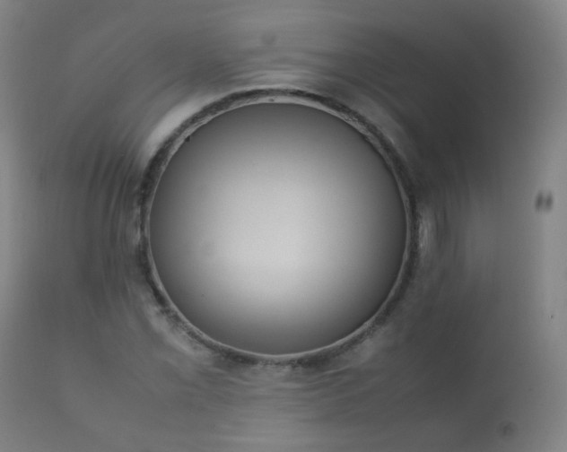 X0000112411069200908211116