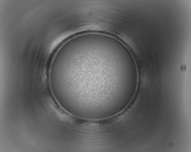 X0000112411070200908211116