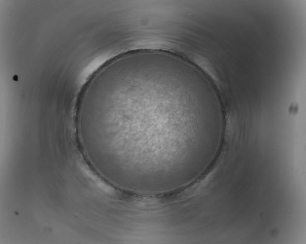 X0000112411071200908211116