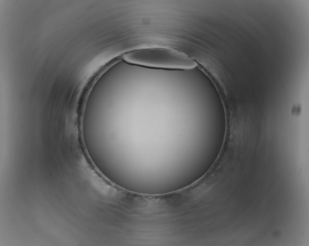 X0000112411072200908211116