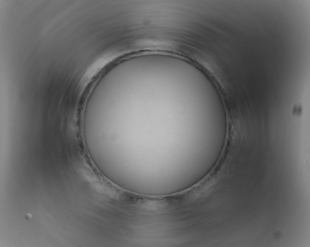 X0000112411074200908211116