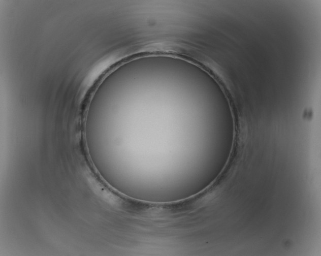 X0000112411075200908211116
