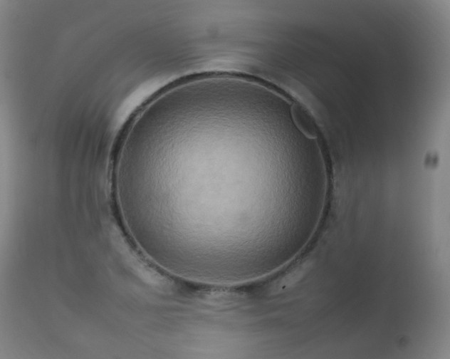 X0000112411077200908211116
