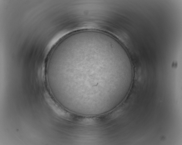 X0000112411078200908211116