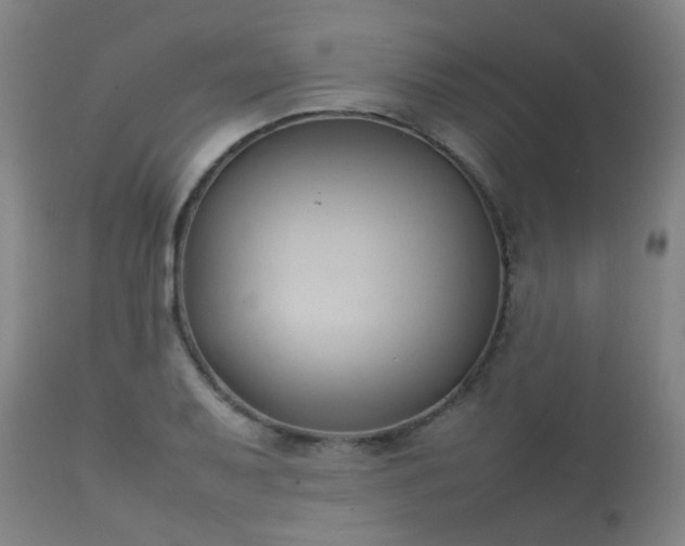 X0000112411079200908211116