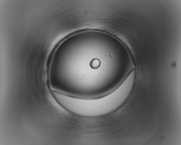 X0000112411080200908211116
