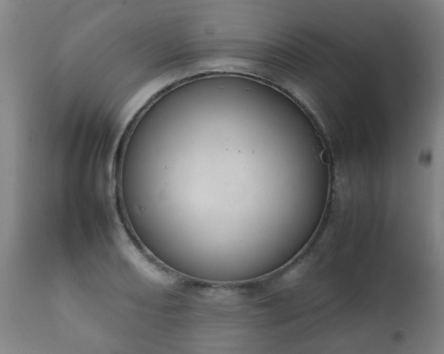 X0000112411082200908211116