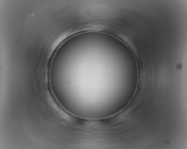 X0000112411083200908211116