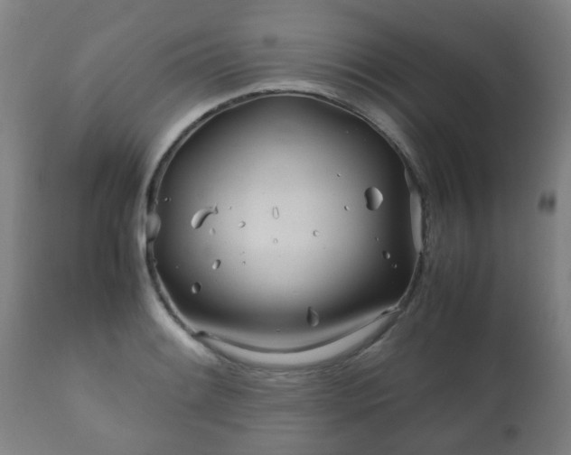 X0000112411084200908211116