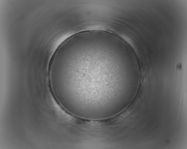 X0000112411087200908211116