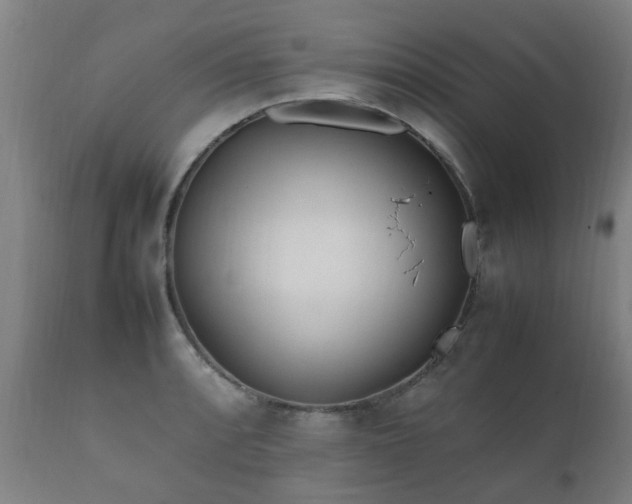 X0000112411088200908211116