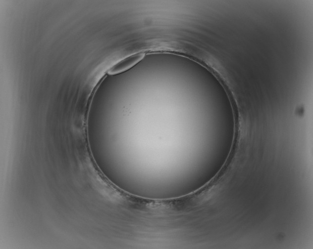 X0000112411089200908211116