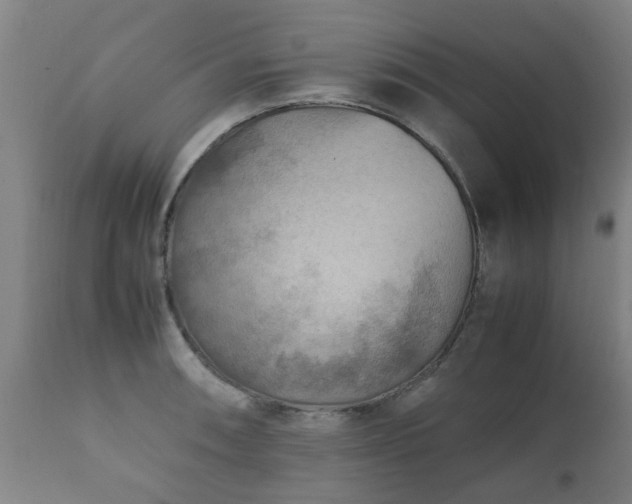 X0000112411090200908211116