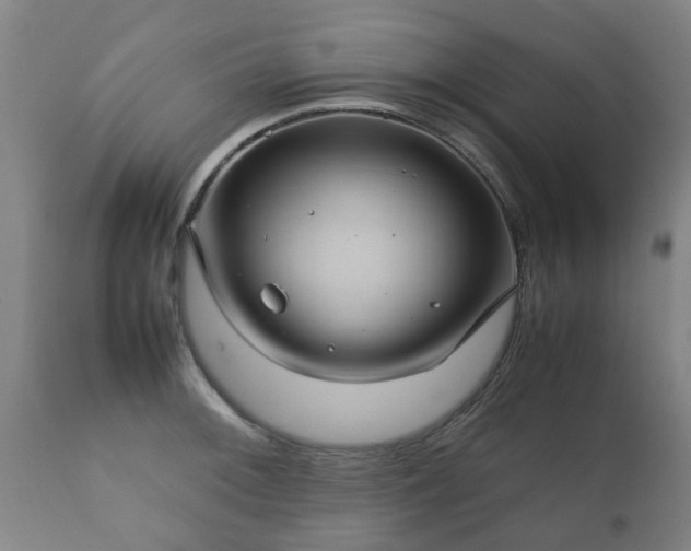 X0000112411092200908211116