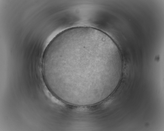 X0000112411094200908211116