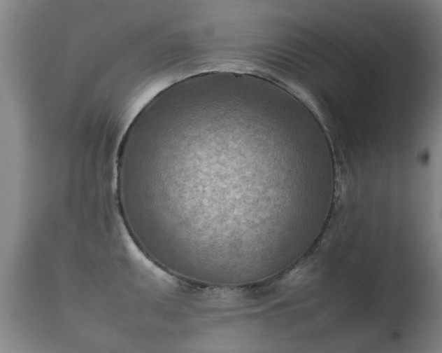 X0000112411095200908211116