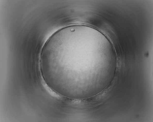 X0000112411098200908211116