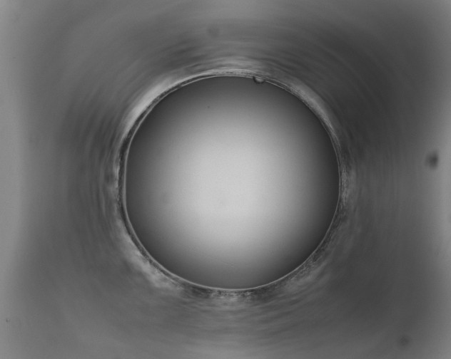 X0000112411099200908211116