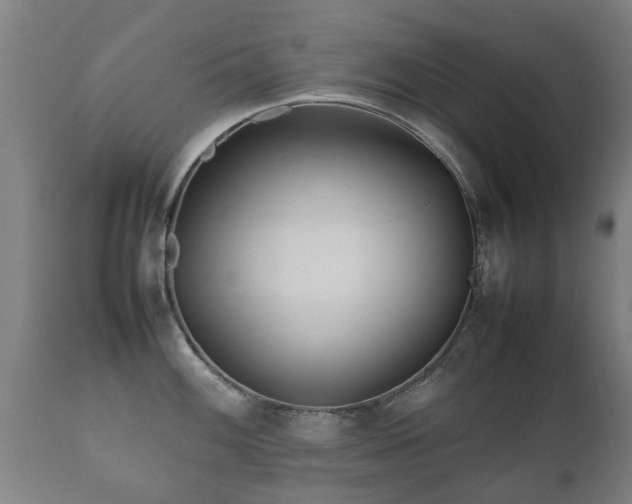 X0000112411100200908211116