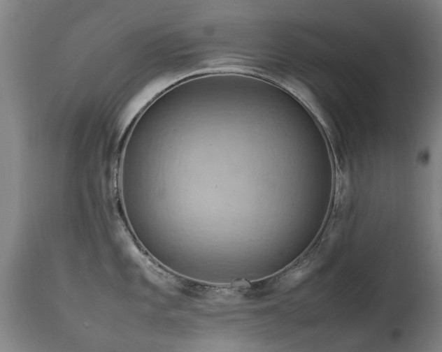 X0000112411101200908211116