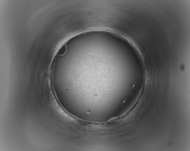 X0000112411102200908211116